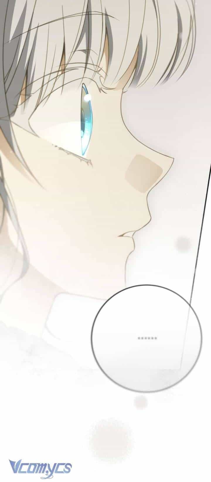 Lần Nữa Toả Sáng - Chương 86 - ảnh 24