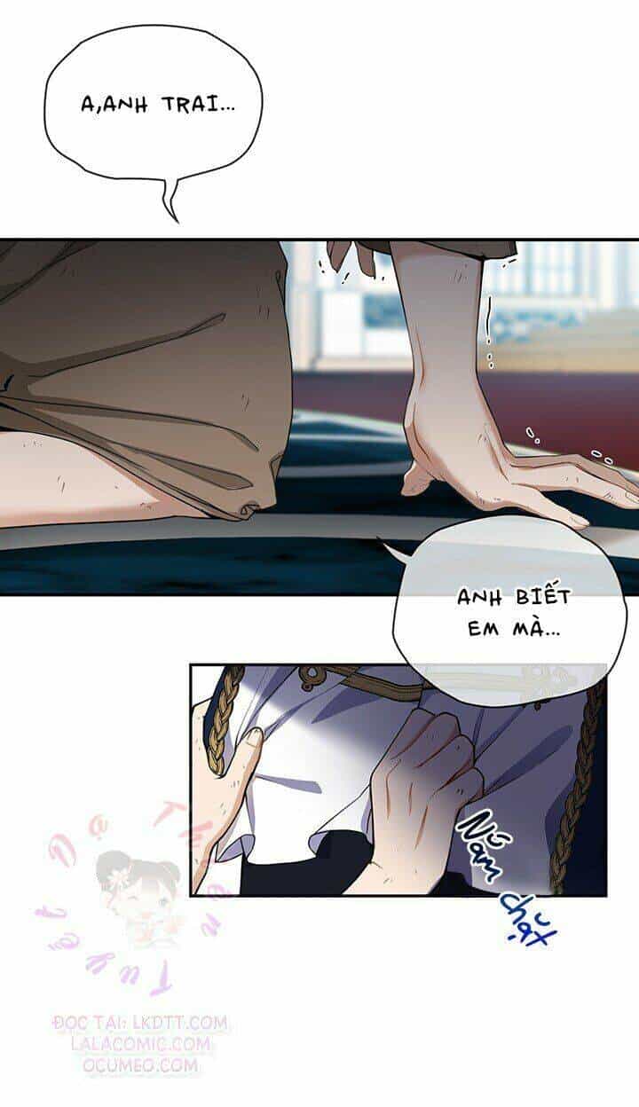 Lần Nữa Toả Sáng - Chương 2 - ảnh 34