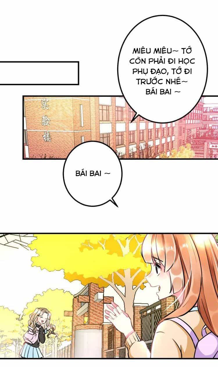 Lão Ca Minh Tinh, Mời Xuất Chiêu! - Chương 35 - ảnh 12