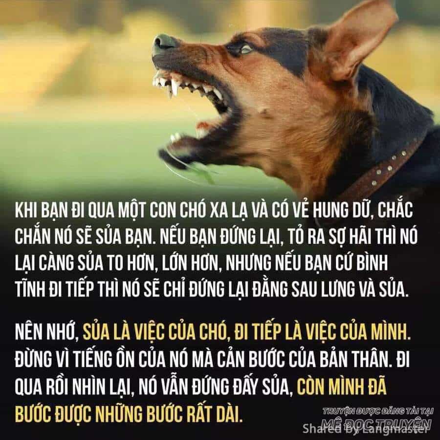 Lão Đại Xuyên Không Thành Tiên Nữ - Chương 47.1 - ảnh 31