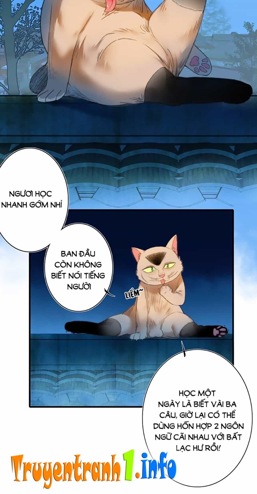 Lệnh Cấm Nghị Tộc 2 Ẩn Diện Trấn - Chương 68 - ảnh 6