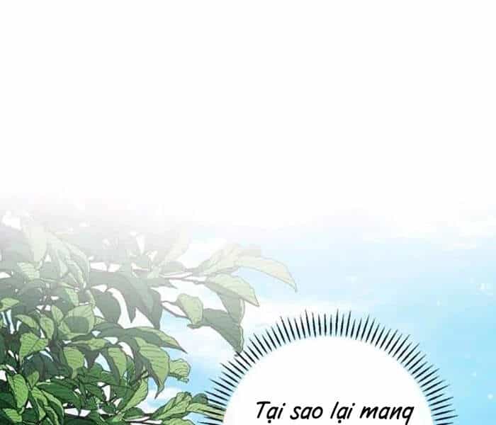 Level Up Chỉ Bằng Cách Ăn Cơm - Chương 75 - ảnh 5