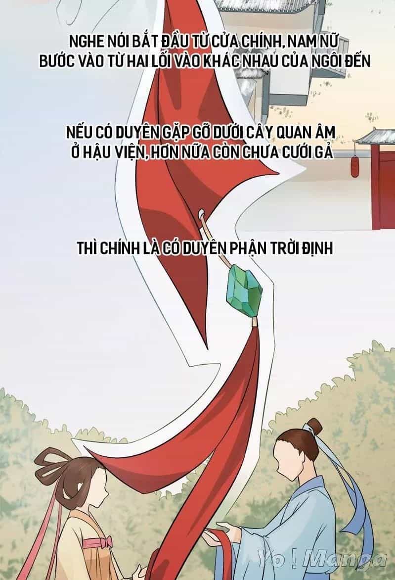 Loạn Thế Hoạ Phi - Chương 28 - ảnh 8