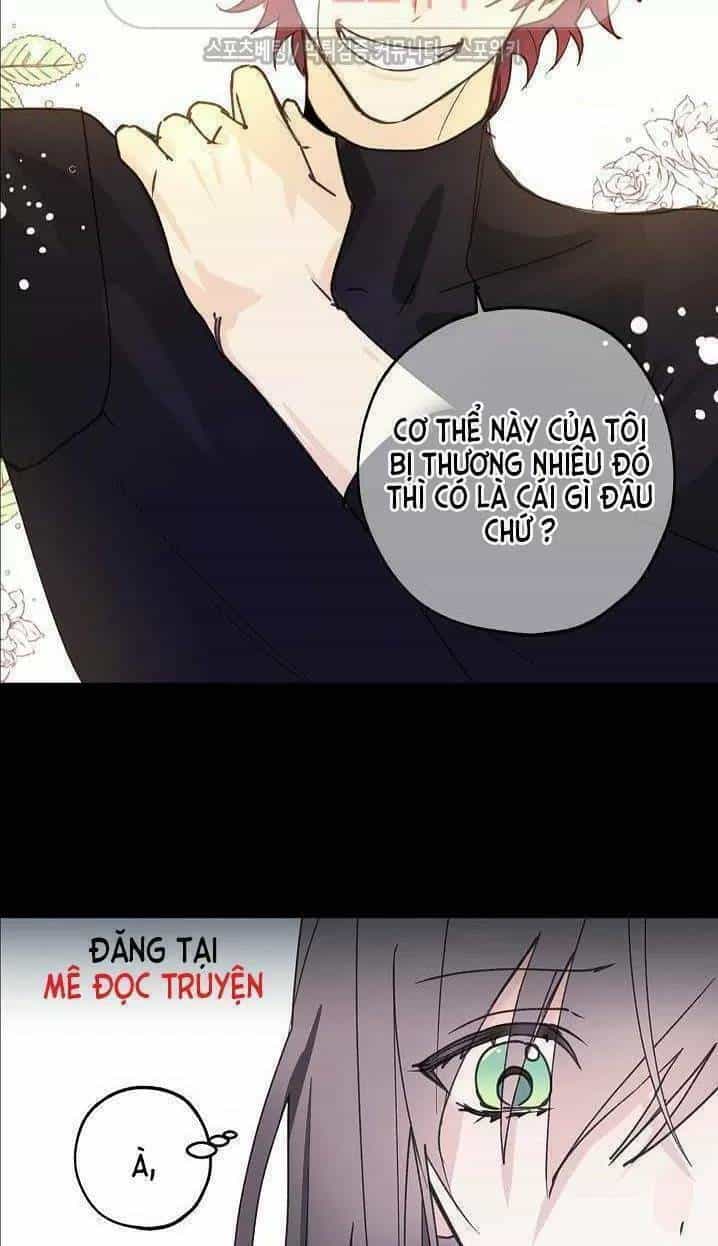 Lời Thú Nhận Nhầm Lẫn - Chương 11 - ảnh 14