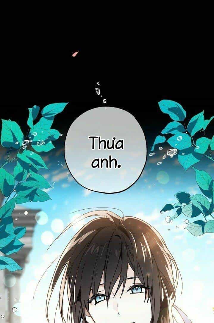 Lời Thú Nhận Nhầm Lẫn - Chương 24 - ảnh 32