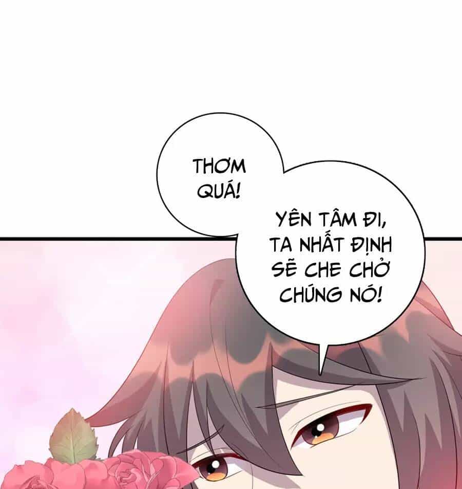 Long Hoàng Vũ Thần - Chương 59 - ảnh 20