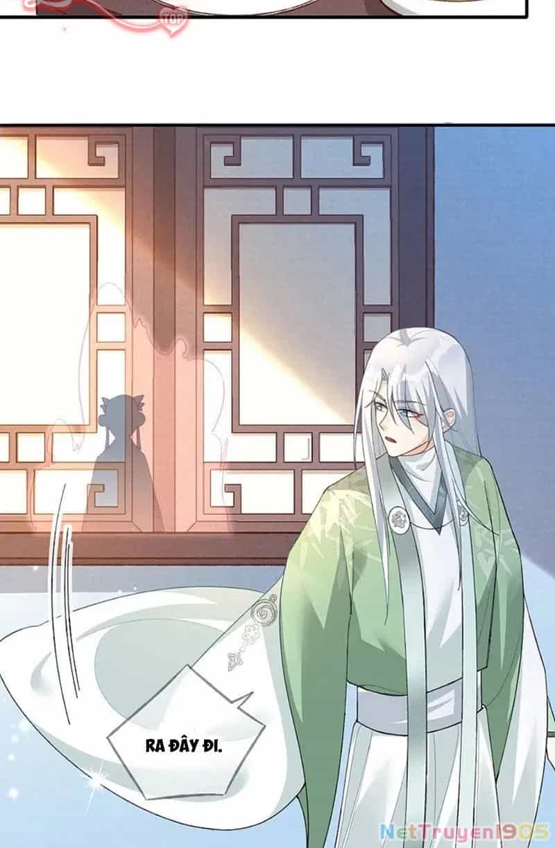 Long Vương Truy Thê - Chương 19 - ảnh 68