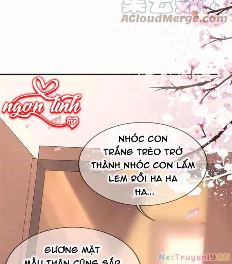 Long Vương Truy Thê - Chương 42 - ảnh 74
