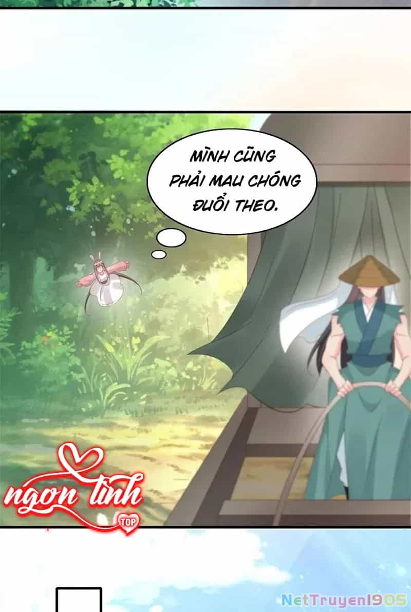 Long Vương Truy Thê - Chương 44 - ảnh 70