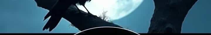 Lúc Đó Tôi Không Biết Đó Là Một Món Hời - Chương 80 - ảnh 142