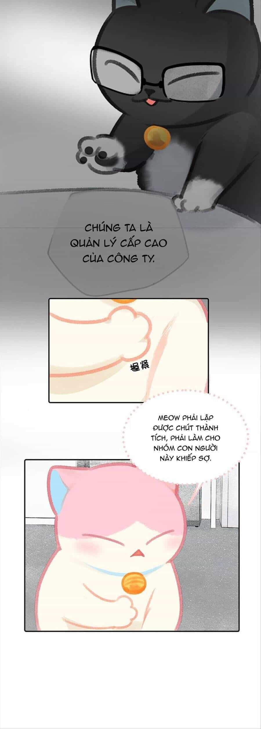 Lục Lạc Mèo - Chương 11 - ảnh 11