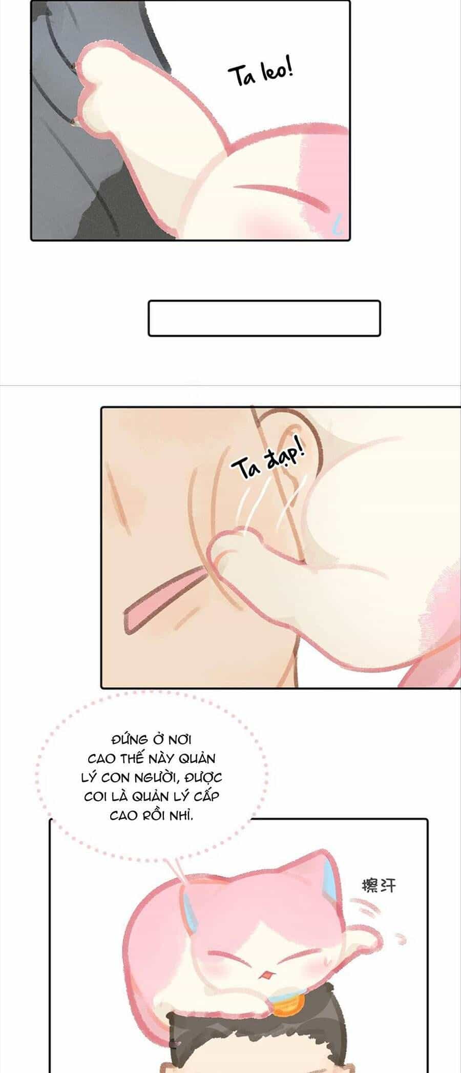 Lục Lạc Mèo - Chương 11 - ảnh 12