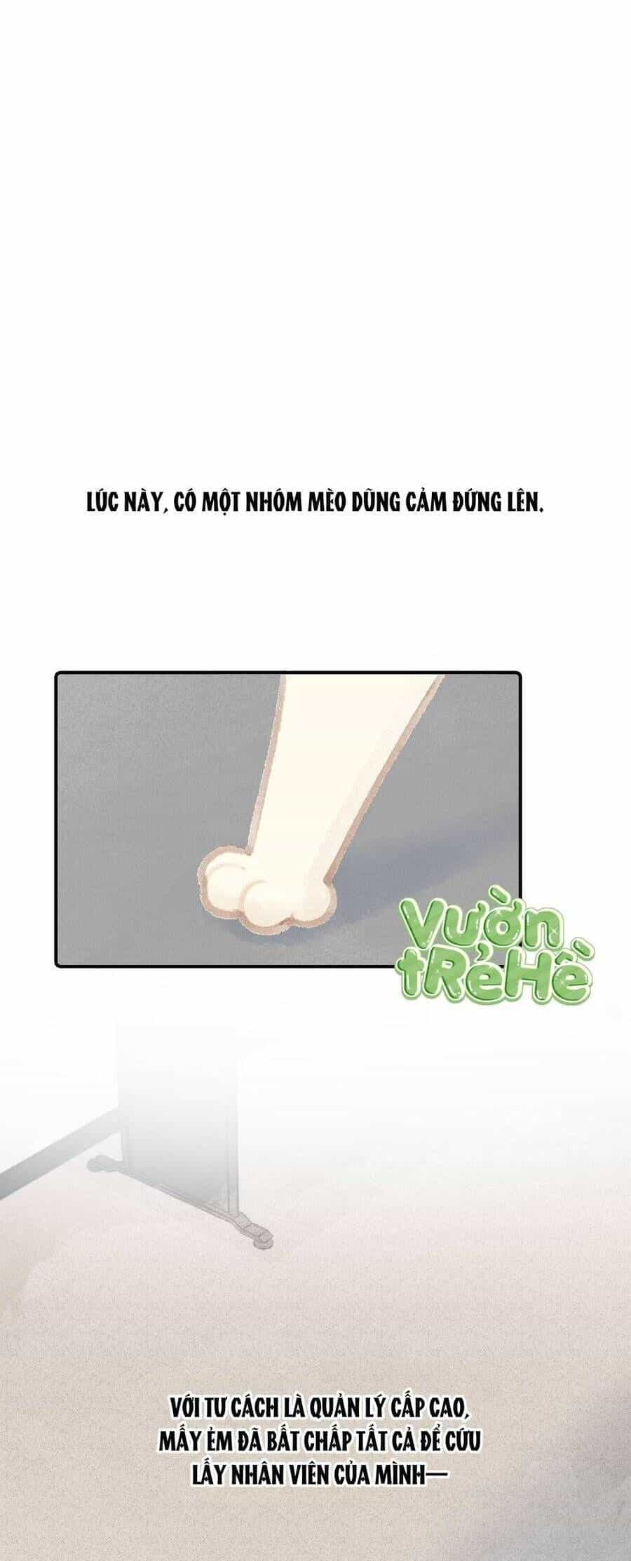 Lục Lạc Mèo - Chương 16 - ảnh 6