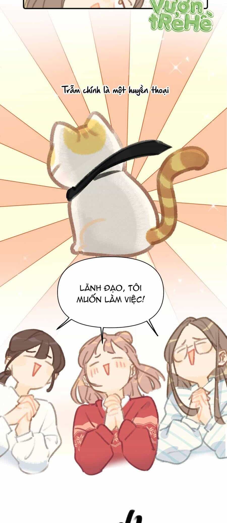 Lục Lạc Mèo - Chương 16 - ảnh 9