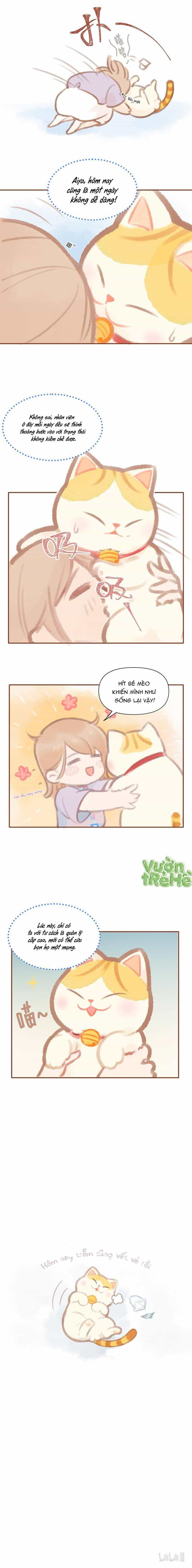 Lục Lạc Mèo - Chương 1 - ảnh 4