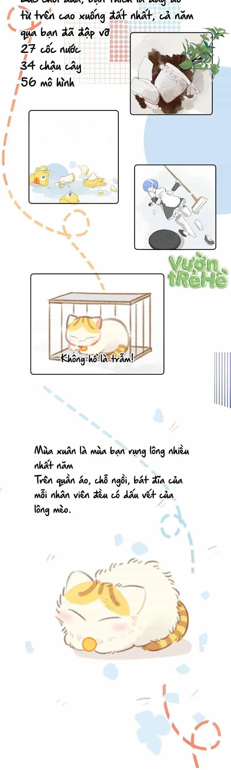 Lục Lạc Mèo - Chương 21 - ảnh 8