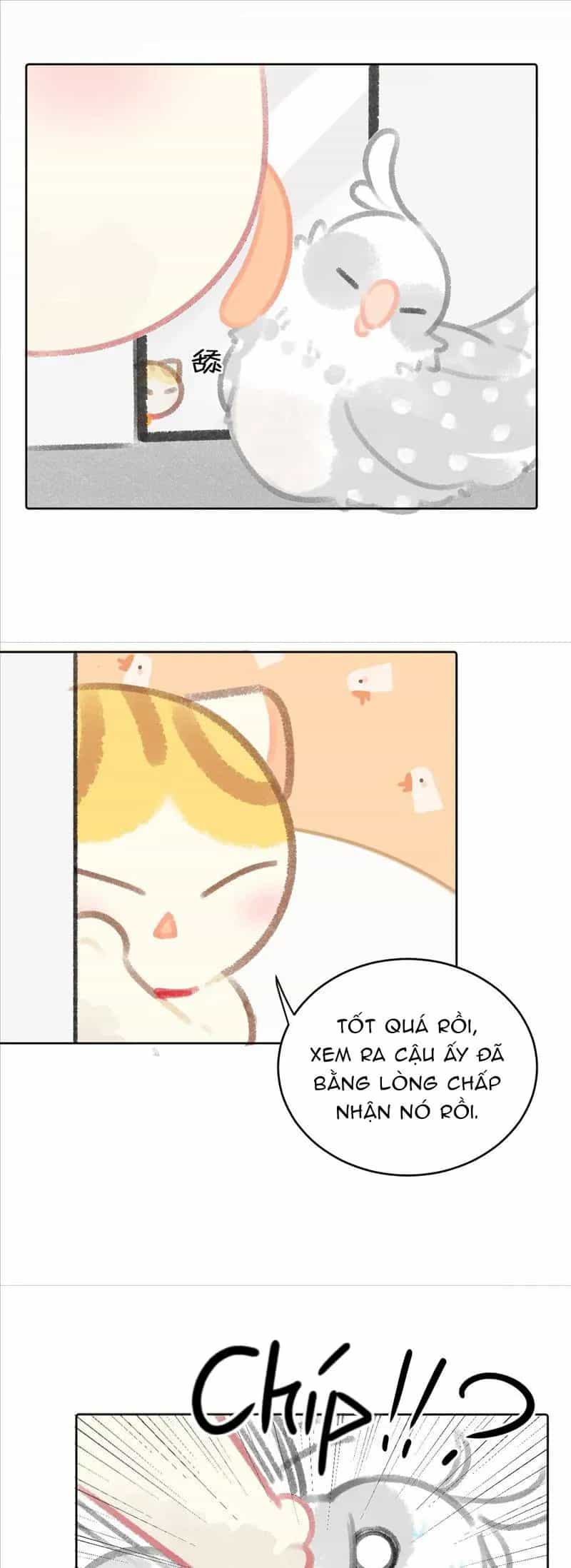 Lục Lạc Mèo - Chương 24 - ảnh 11