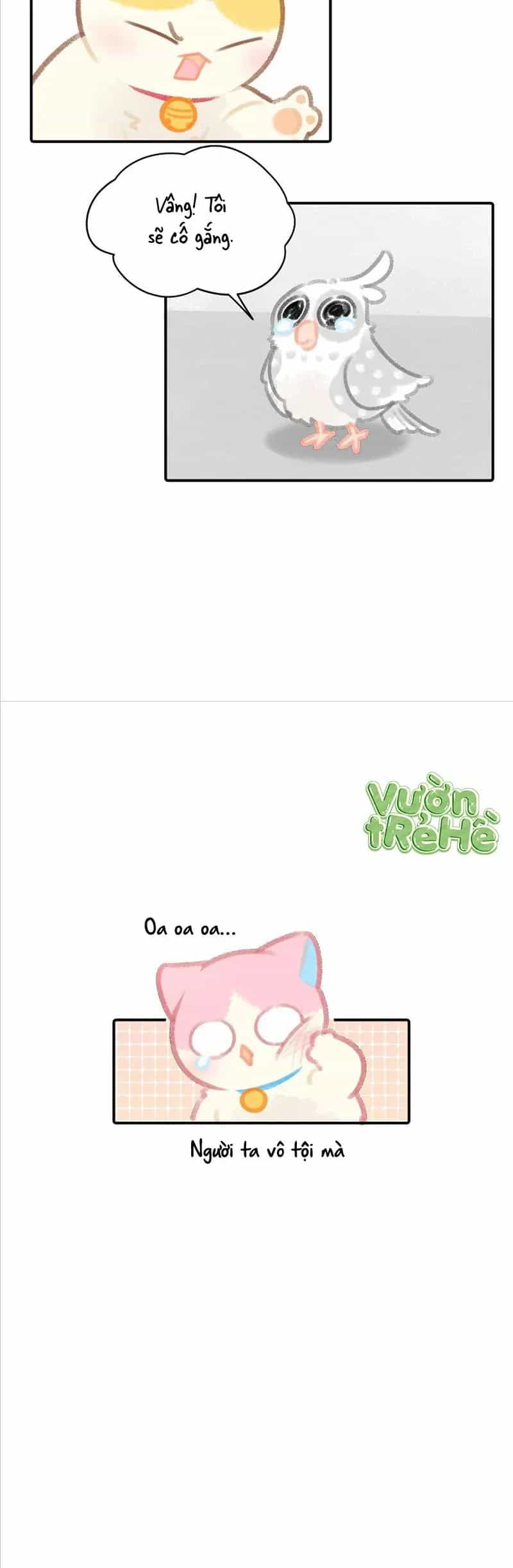 Lục Lạc Mèo - Chương 24 - ảnh 16