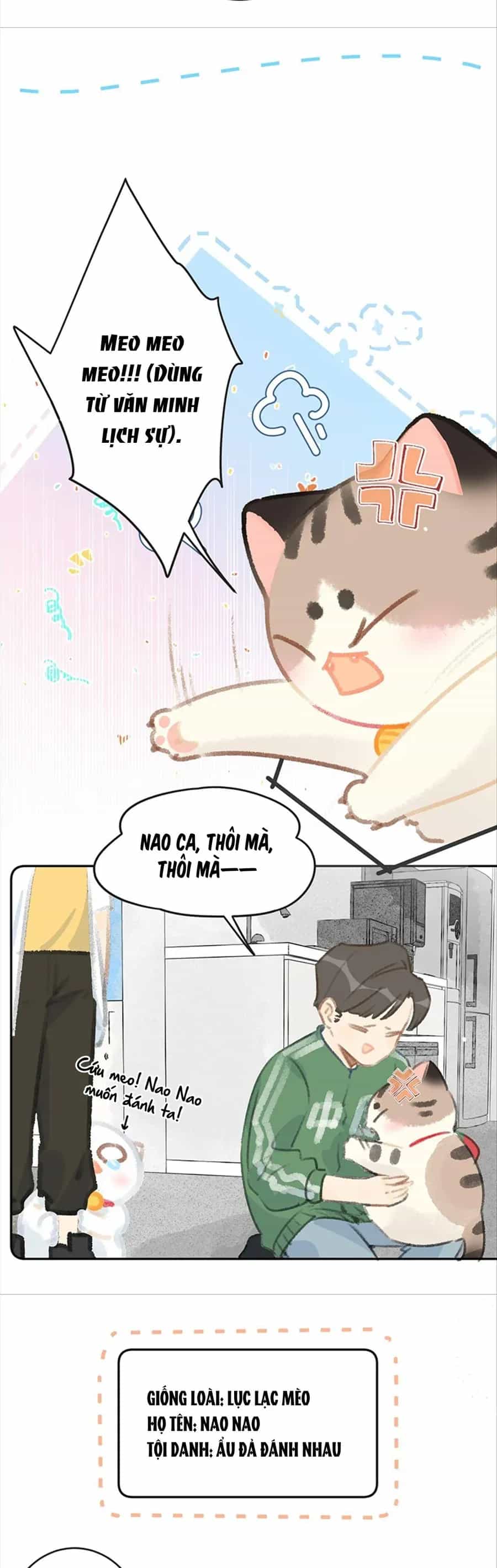 Lục Lạc Mèo - Chương 26 - ảnh 6