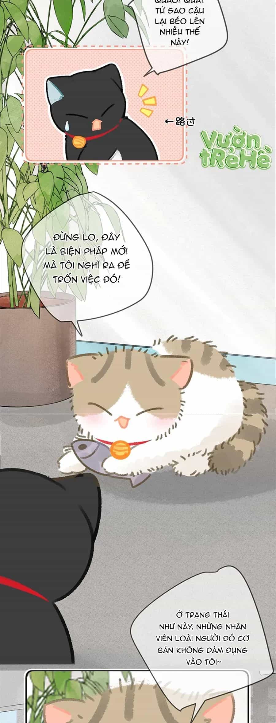 Lục Lạc Mèo - Chương 27 - ảnh 3