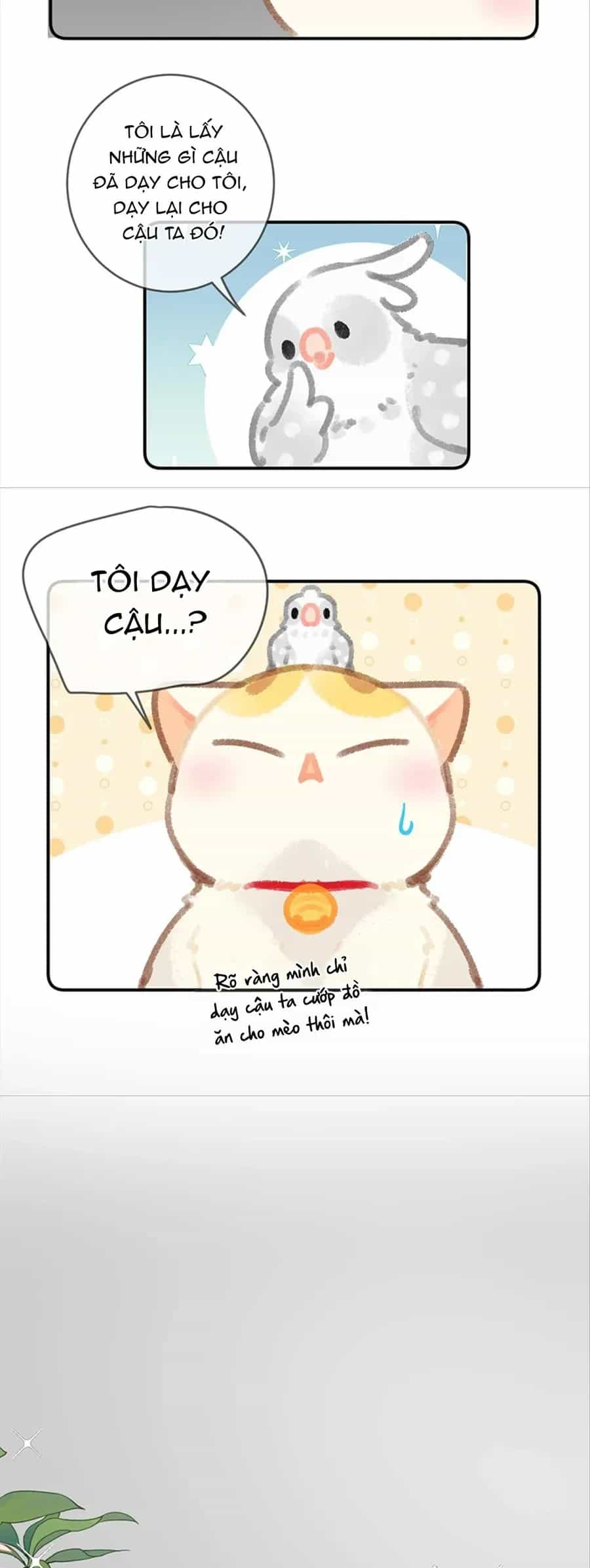 Lục Lạc Mèo - Chương 28 - ảnh 10