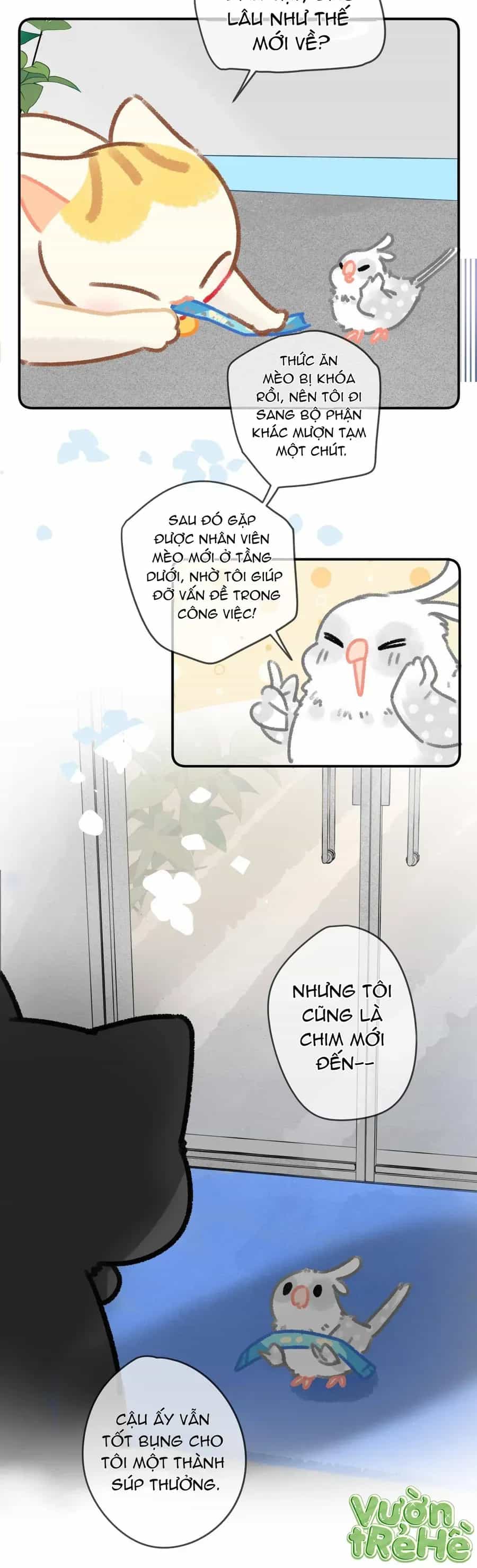 Lục Lạc Mèo - Chương 28 - ảnh 4