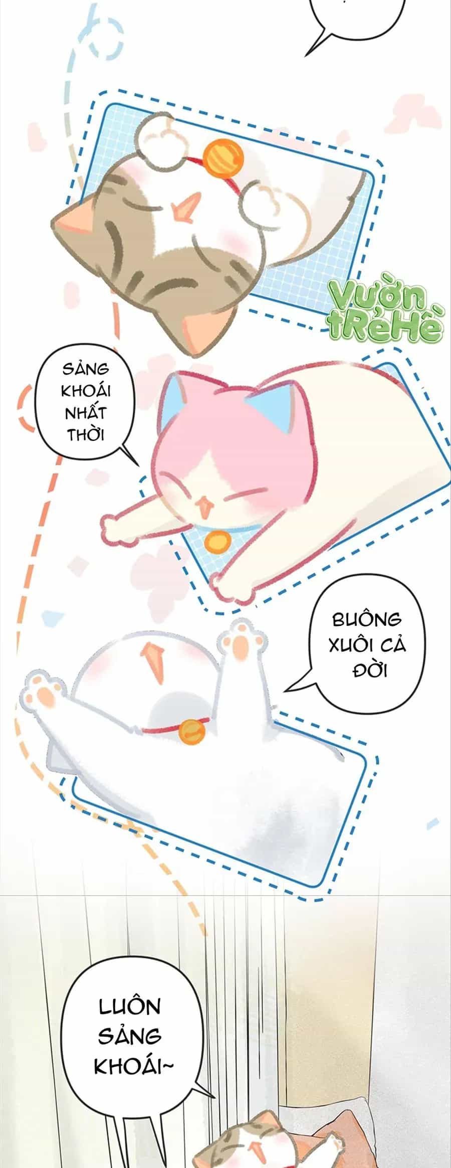 Lục Lạc Mèo - Chương 29 - ảnh 2