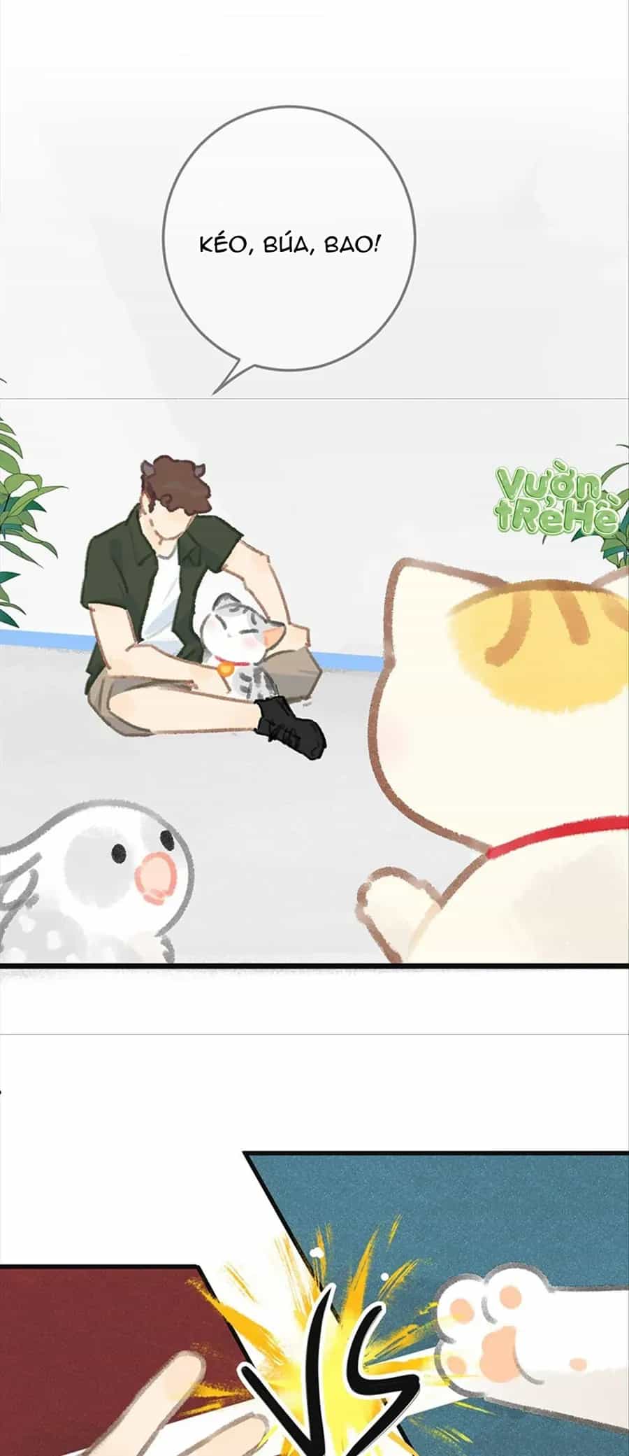 Lục Lạc Mèo - Chương 32 - ảnh 9
