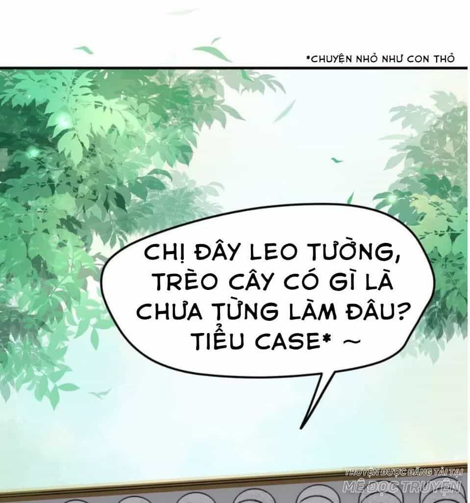 Luôn Có Điêu Dân To Gan Muốn Hại Trẫm - Chương 15 - ảnh 42