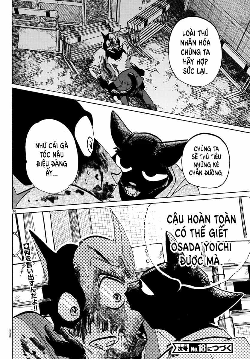 Lý Trí Của Taika - Chương 11 - ảnh 20