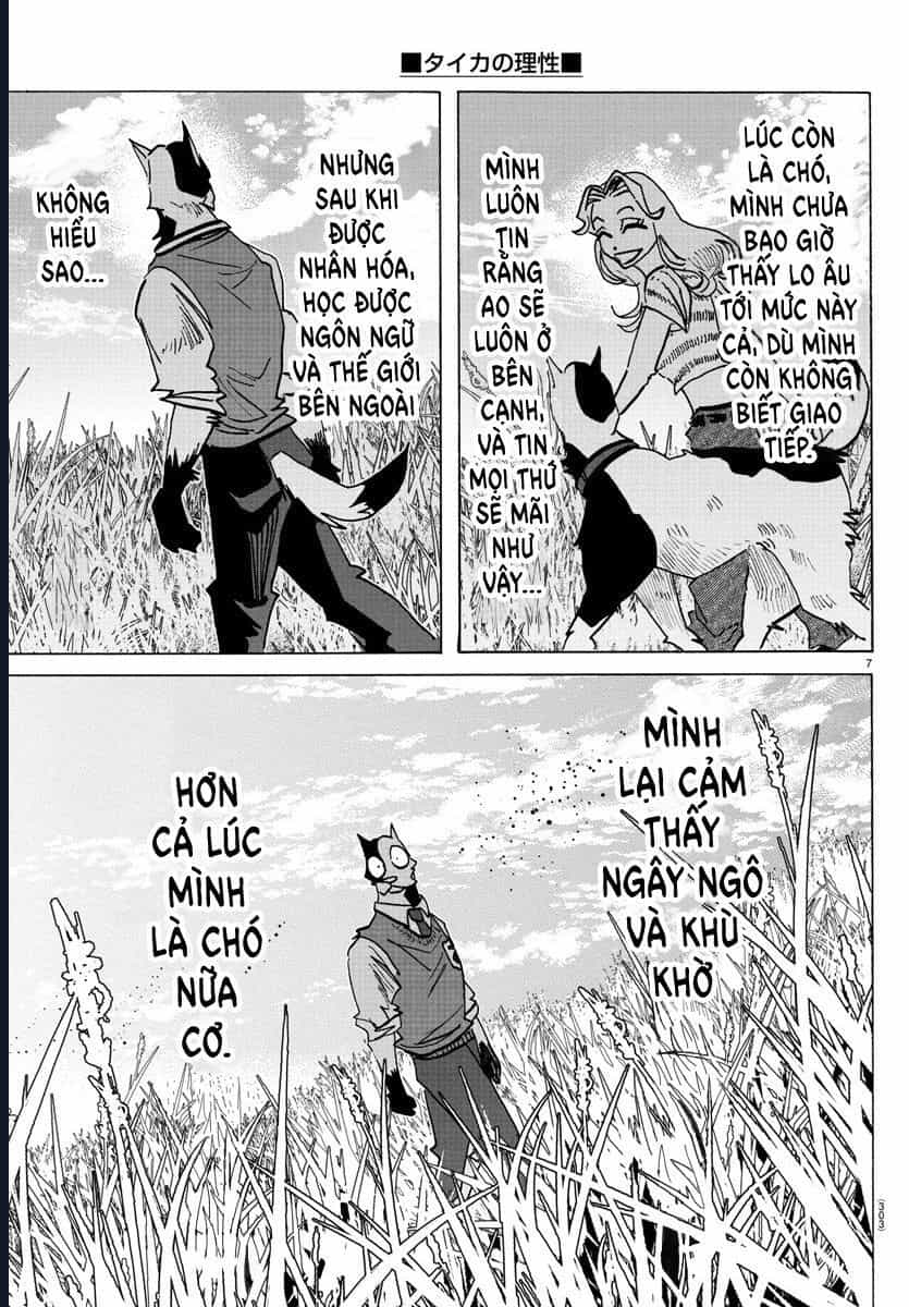 Lý Trí Của Taika - Chương 28 - ảnh 8