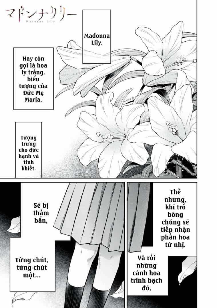 Madonna Lily - Chương 1 - ảnh 3