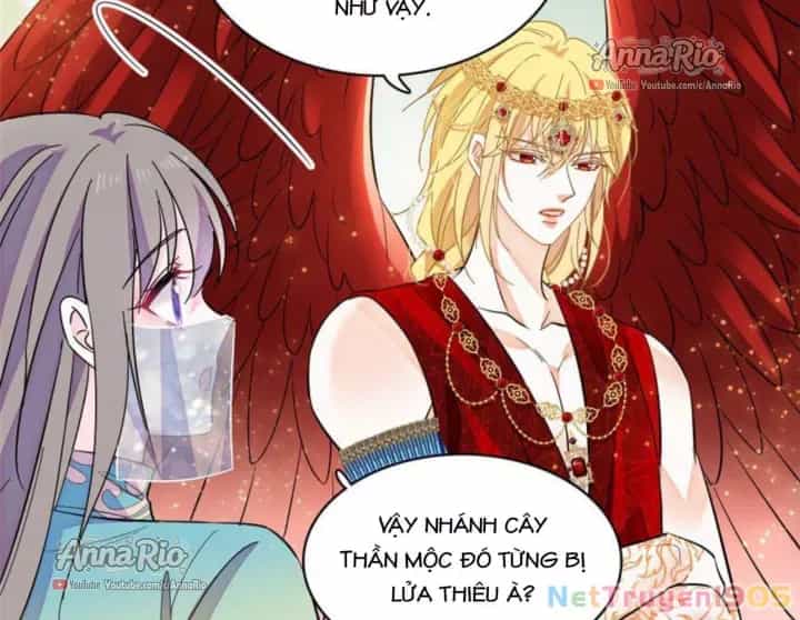Manh Động Thú Thế - Chương 517 - ảnh 24
