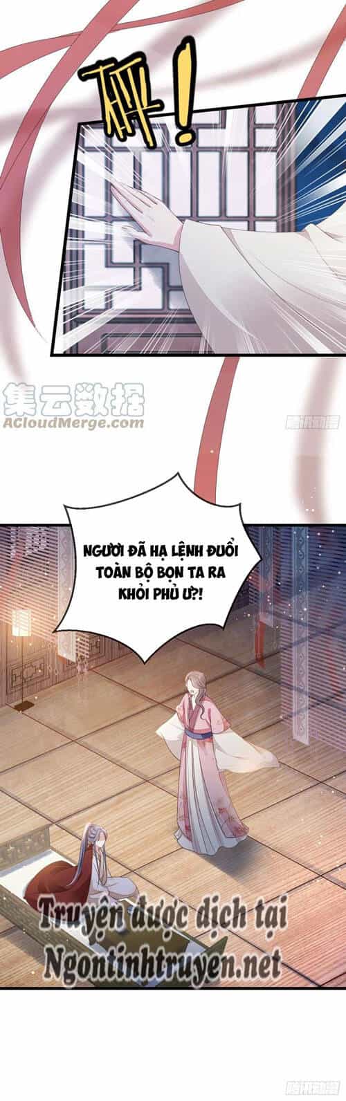 Mau Xuyên Không Rửa Tội Cho Nhân Vật Phản Diện - Chương 39 - ảnh 10