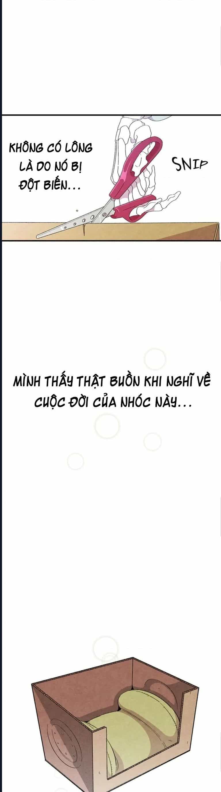 Mèo Con Của Skelly - Chương 3 - ảnh 9