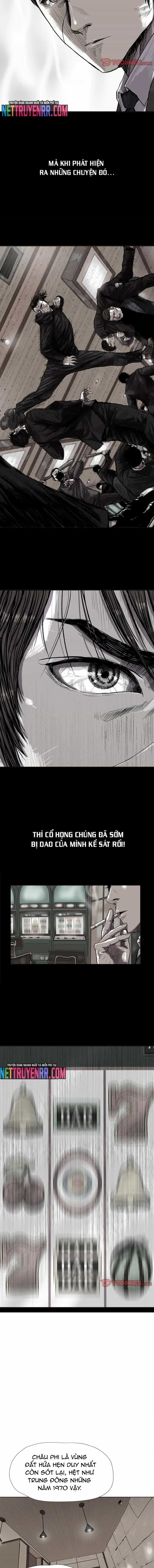 Miền Đất Xanh - Chương 26 - ảnh 3