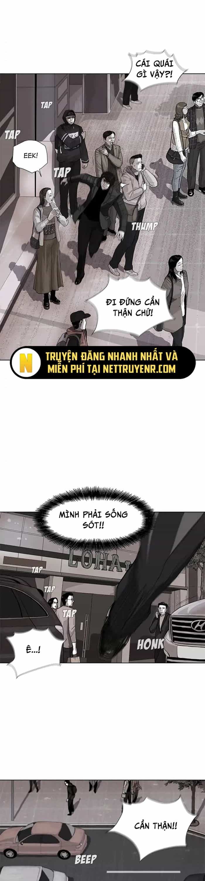Miền Đất Xanh - Chương 3 - ảnh 33