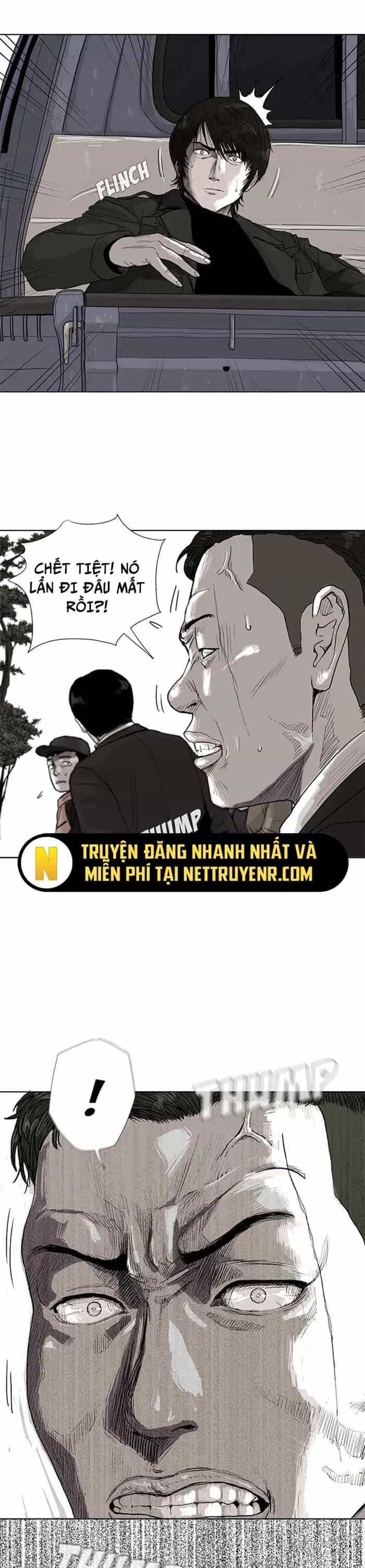 Miền Đất Xanh - Chương 4 - ảnh 13