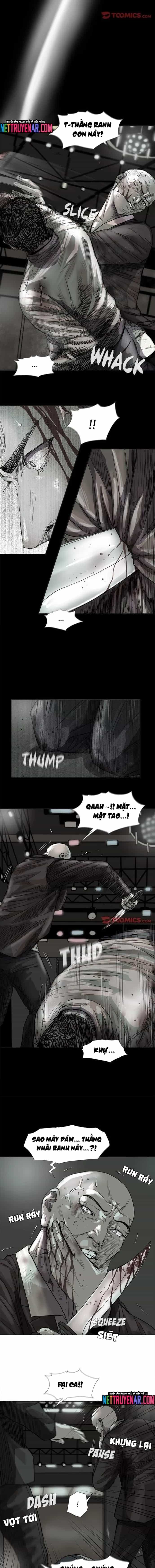 Miền Đất Xanh - Chương 45 - ảnh 3
