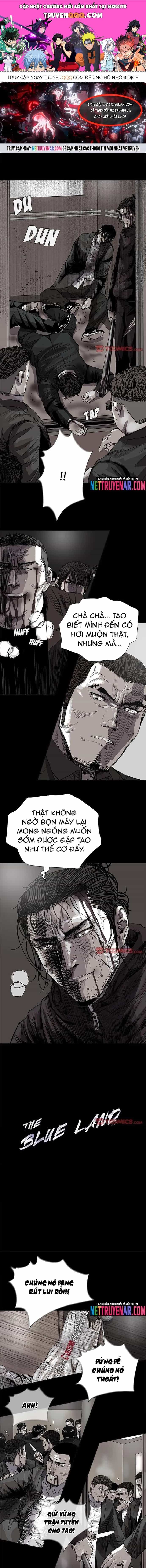 Miền Đất Xanh - Chương 60 - ảnh 1