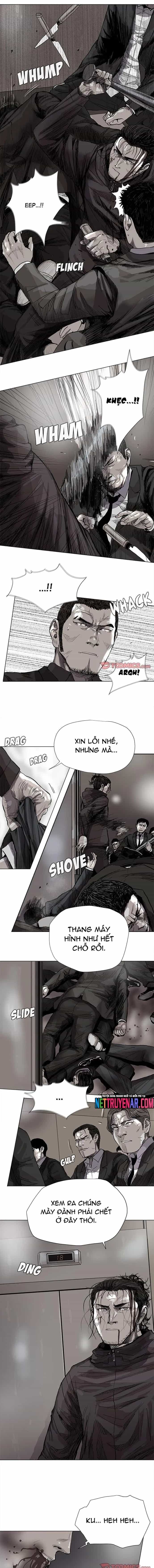 Miền Đất Xanh - Chương 60 - ảnh 3