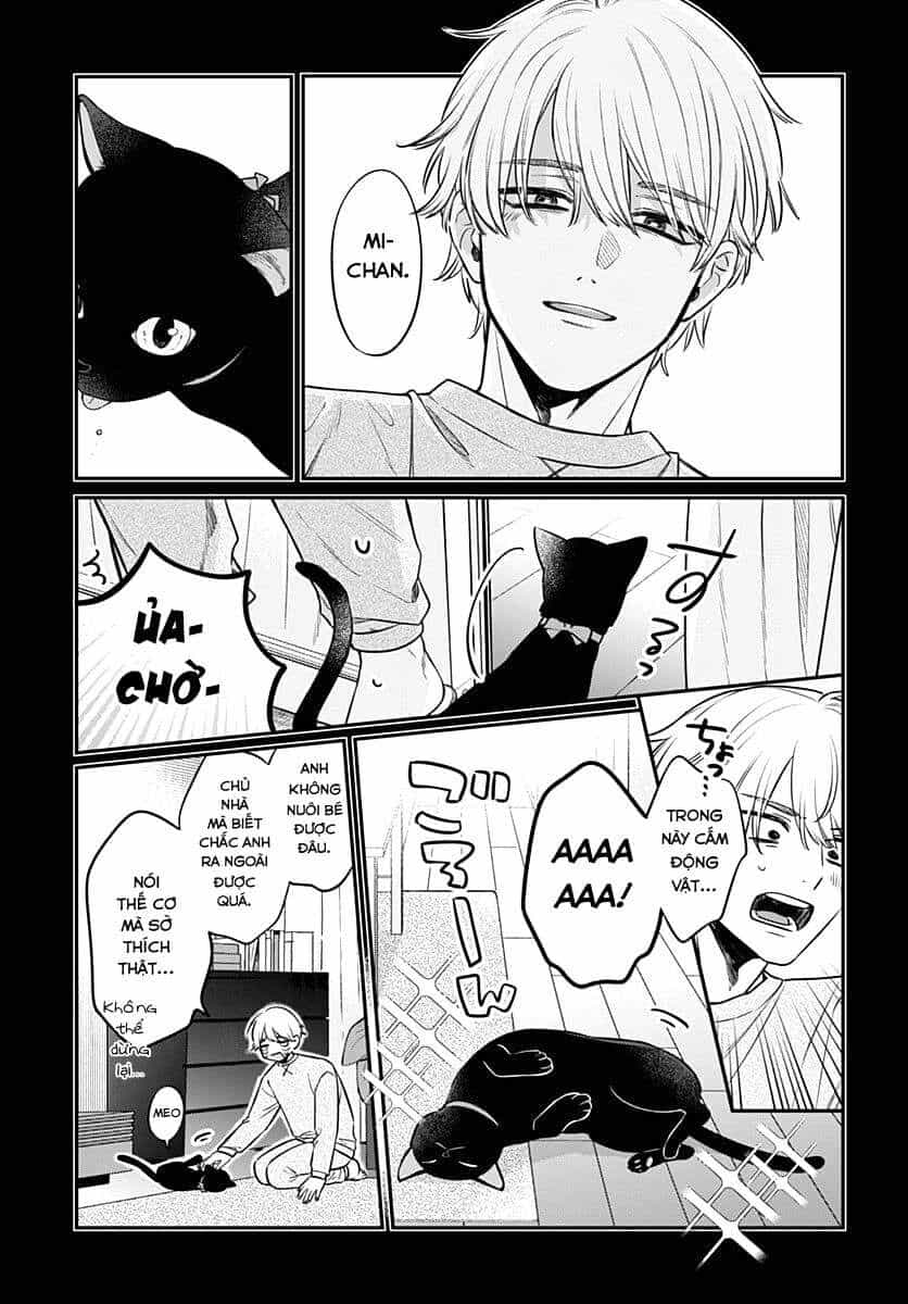 Mii-Chan Muốn Được Nhận Nuôi! - Chương 1 - ảnh 14