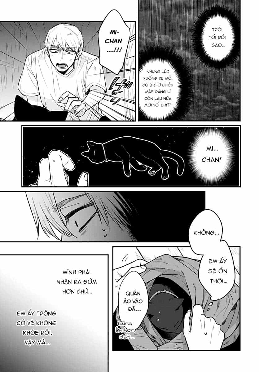 Mii-Chan Muốn Được Nhận Nuôi! - Chương 11 - ảnh 28