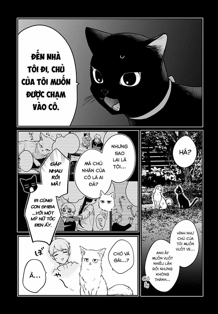 Mii-Chan Muốn Được Nhận Nuôi! - Chương 6 - ảnh 15