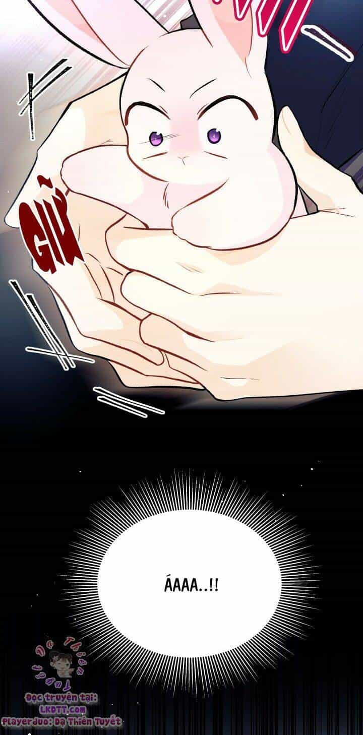Mối Liên Kết Giữa Báo Đen Và Bé Thỏ - Chương 26 - ảnh 87