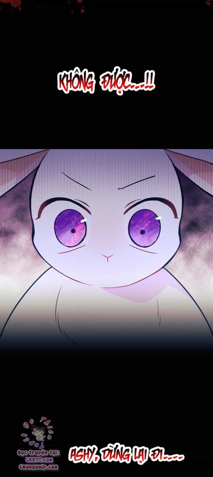 Mối Liên Kết Giữa Báo Đen Và Bé Thỏ - Chương 28 - ảnh 44