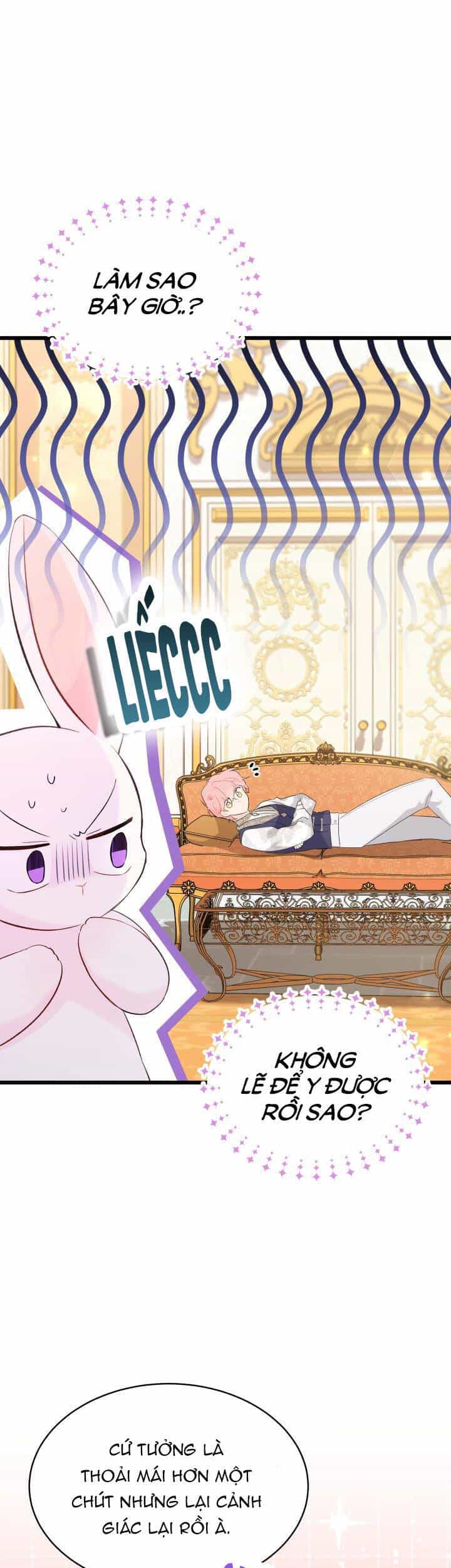 Mối Liên Kết Giữa Báo Đen Và Bé Thỏ - Chương 63 - ảnh 10