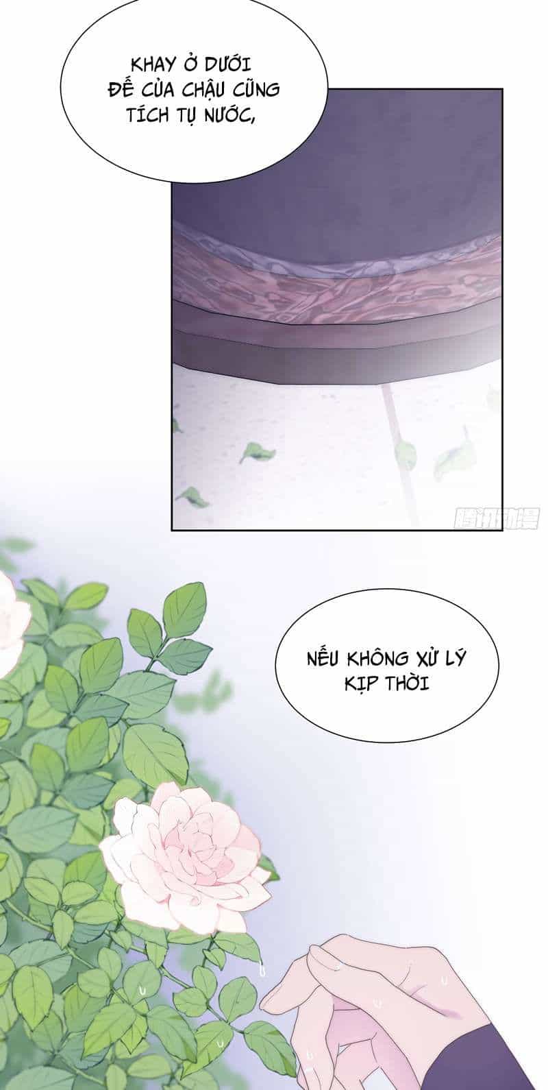 Mời Nhập Mật Mã Kích Hoạt - Chương 4 - ảnh 18