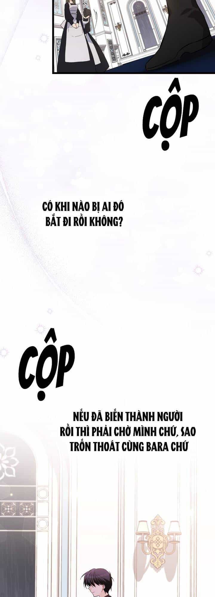Mối Quan Hệ Cộng Sinh Giữa Báo Đen Và Thỏ Trắng - Chương 86 - ảnh 45