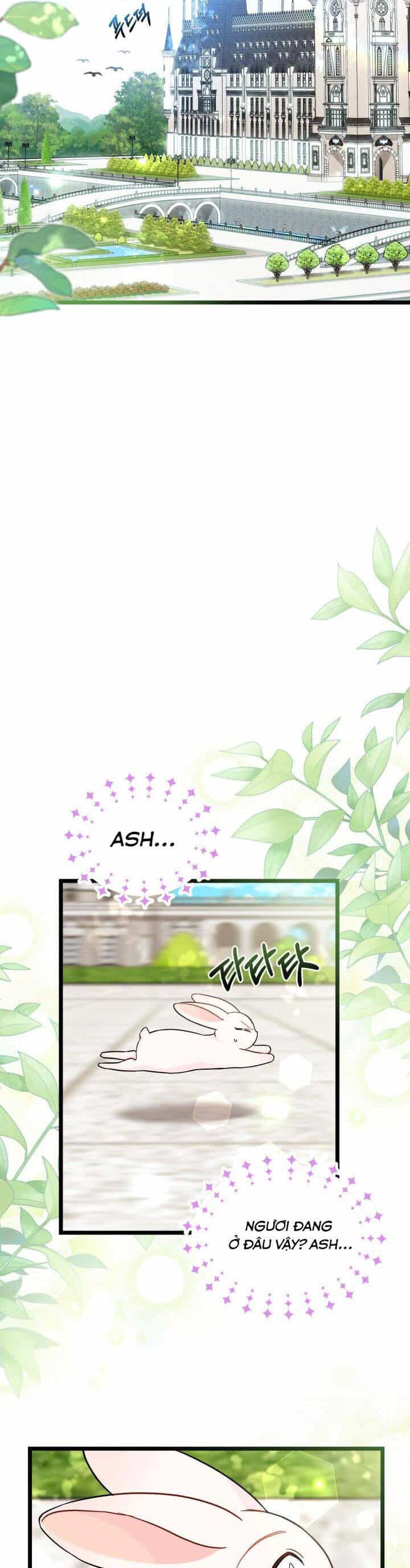 Mối Quan Hệ Cộng Sinh Giữa Báo Đen Và Thỏ Trắng - Chương 134 - ảnh 28